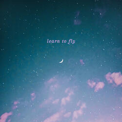 Learn to Fly