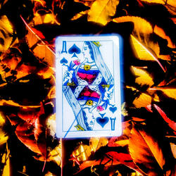 Пиковая Дама