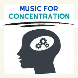 Playlist For Concentration
