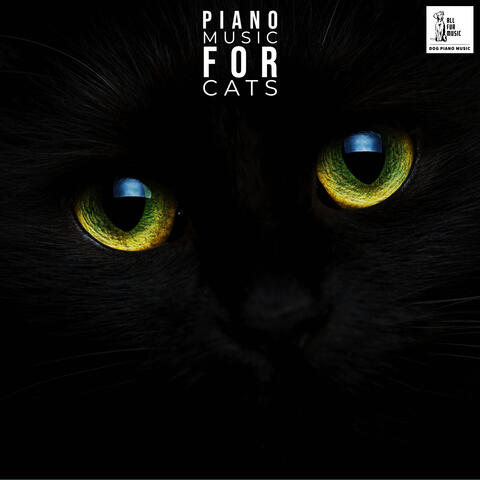 Piano Music For Cats