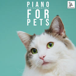 Kitty Music At Home