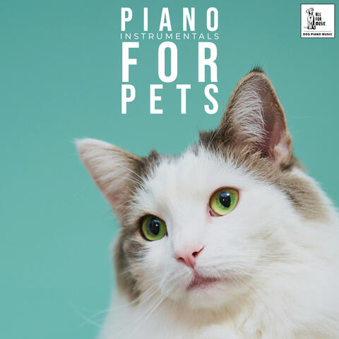 Piano Instrumentals For Cats