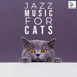 Jazz Jingle For Cats