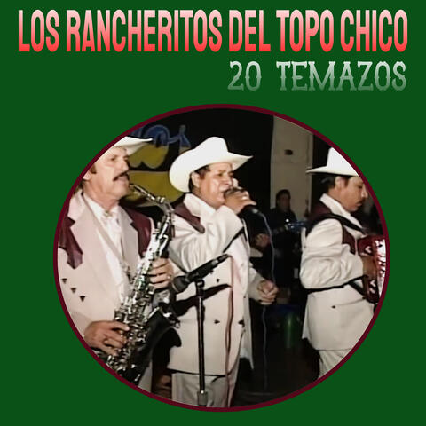 20 Temazos