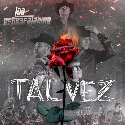 Tal Vez