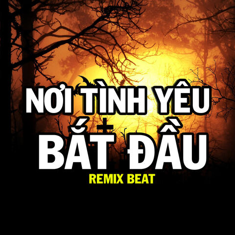 Nơi Tình Yêu Bắt Đầu