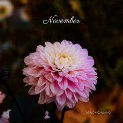 November