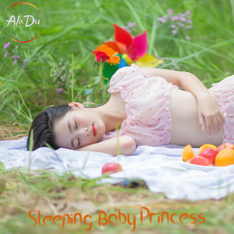 Sleeping Baby Princess