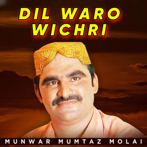 Dil Waro Wichri