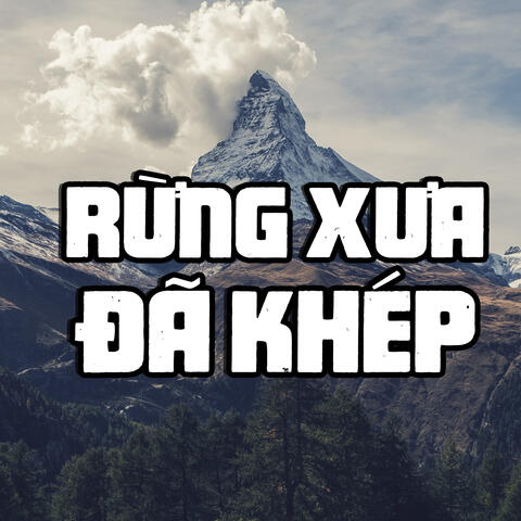 Rừng Xưa Đã Khép