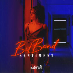 Sentiment