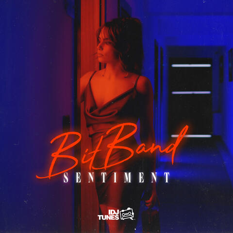 Sentiment