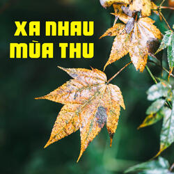 Dấu vết