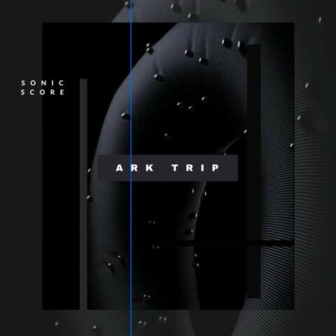 Ark Trip