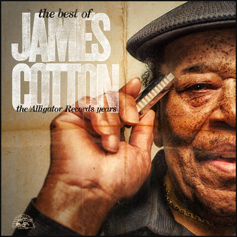 The Best Of James Cotton - The Alligator Records Years