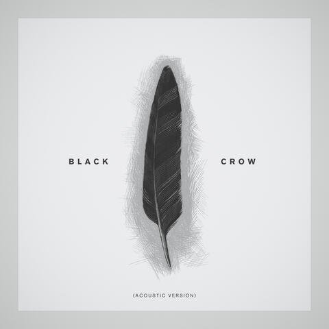 Black Crow