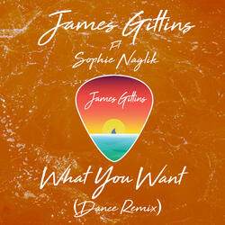 What You Want (Dance Remix)