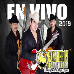 Paso a Paso (En Vivo)