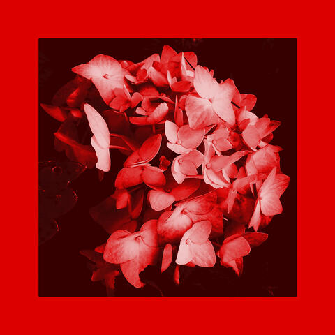 Red I