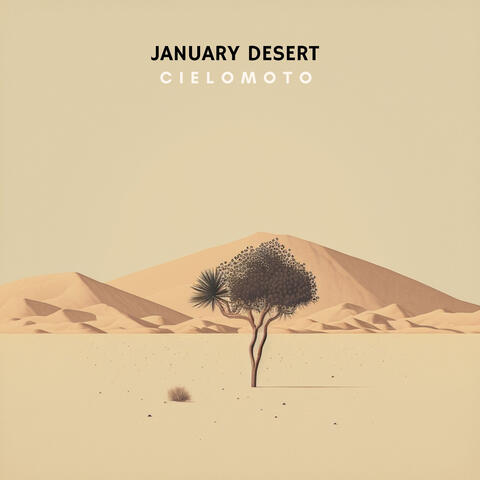 January Desert