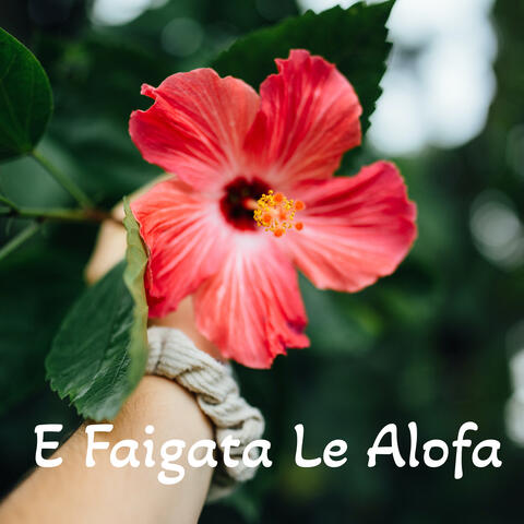 E Faigata Le Alofa