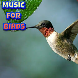 Good Bird