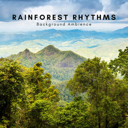 Rainforest Serenade