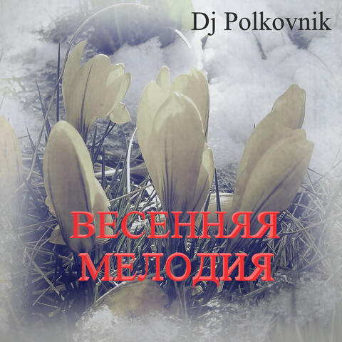 Весенняя мелодия