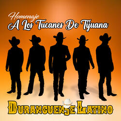 Ando Bien Arreglado