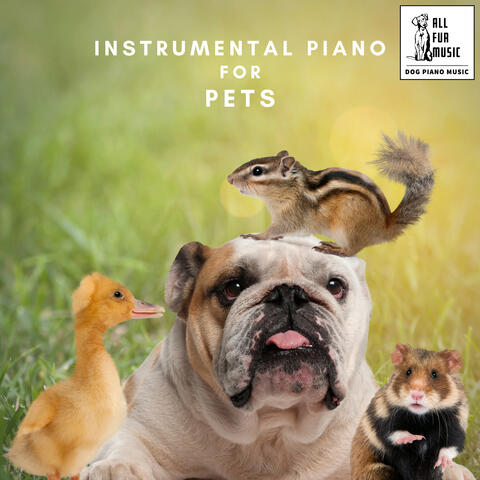Instrumental Piano For Pets
