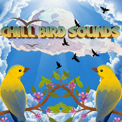 Spring Birds Chirping Sounds