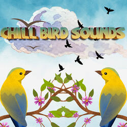 Calming Bird Sounds