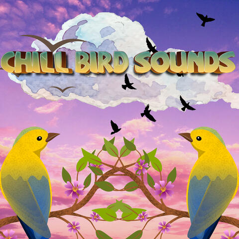 Bird Sounds For Sleep