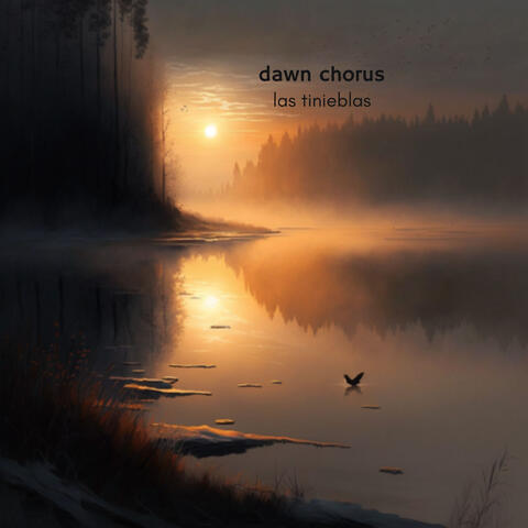 Dawn Chorus