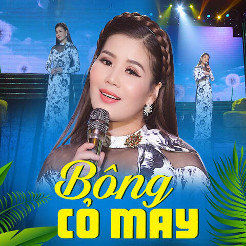 Bông Cỏ May