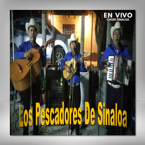 En Vivo Choix Sinaloa