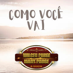 Como você vai