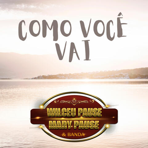 Como você vai