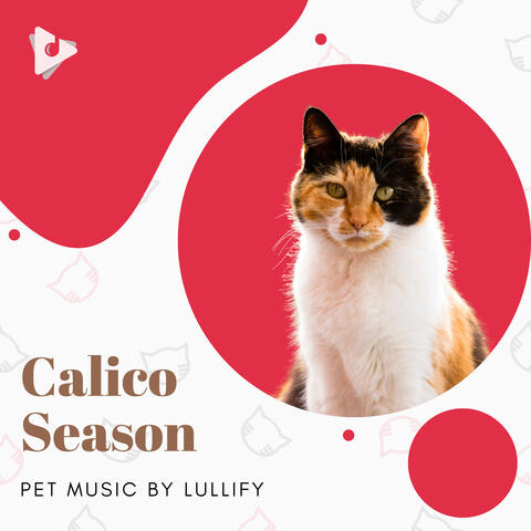 Calico Season