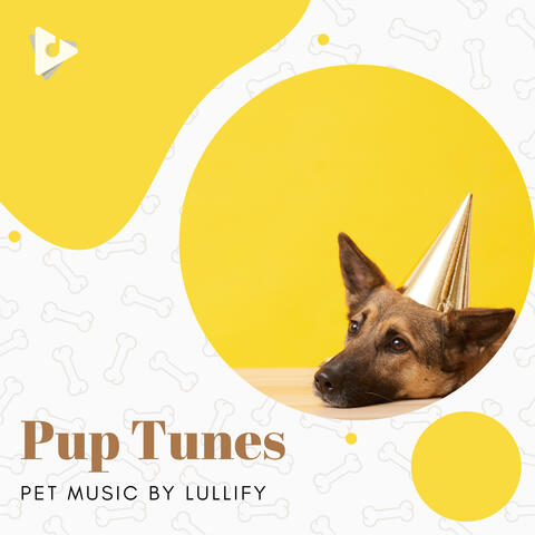 Spa Music by Lullify