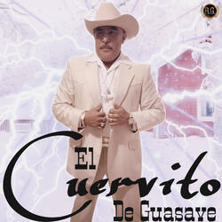Tino Quintero (En Vivo)