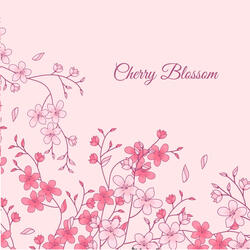 Cherry Blosom
