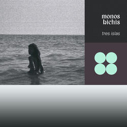 monos bichis