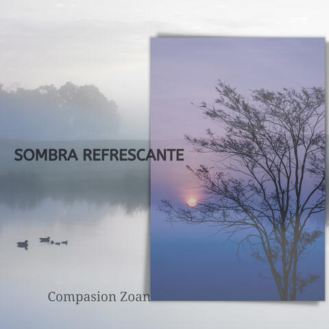 Sombra Refrescante