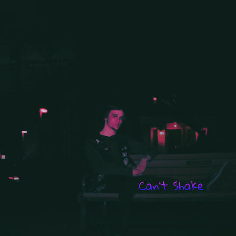 Can't Shake