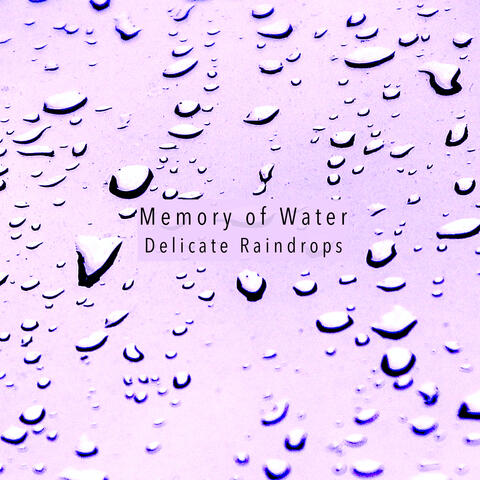 Delicate Raindrops