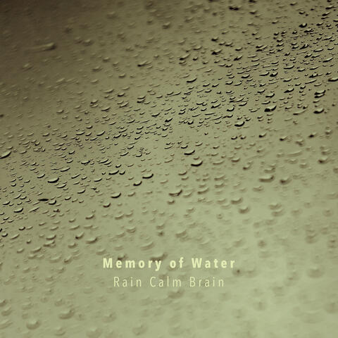 Rain Calm Brain