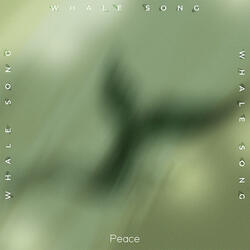 Whale Song
