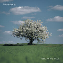 Growing Tall