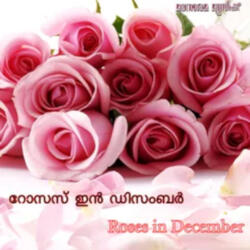 Manjuveenu (From "Roses In December")